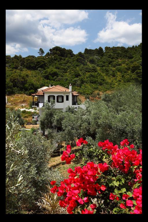 Mando Beachfront Στάφυλος Εξωτερικό φωτογραφία
