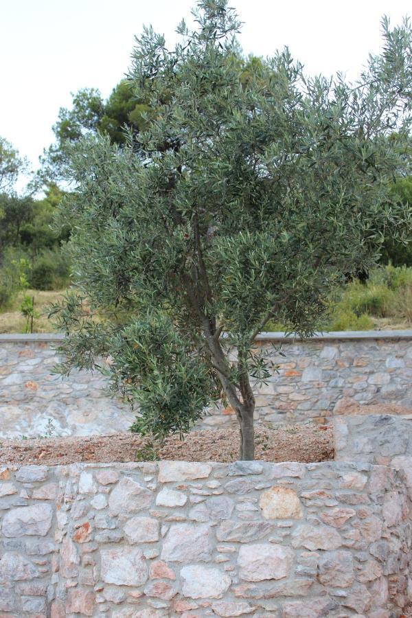 Mando Beachfront Στάφυλος Εξωτερικό φωτογραφία